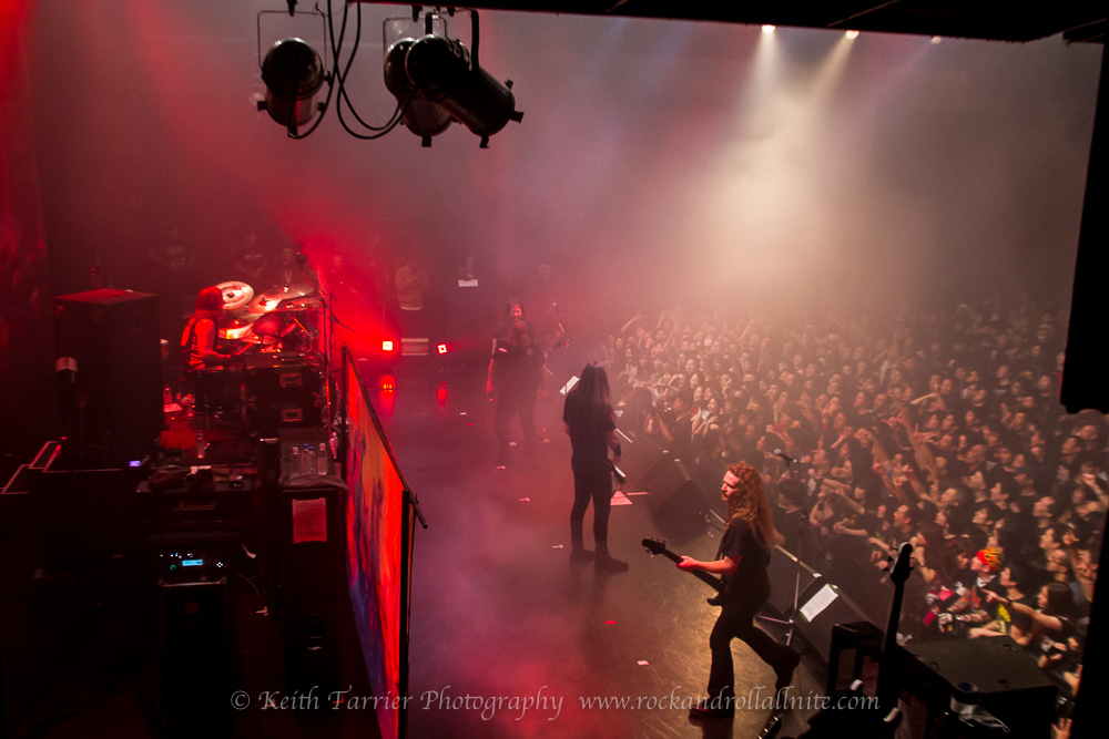 The Dead Daisies Live